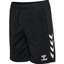 hmlCORE 2.0 TRAINING SHORTS blackwhite