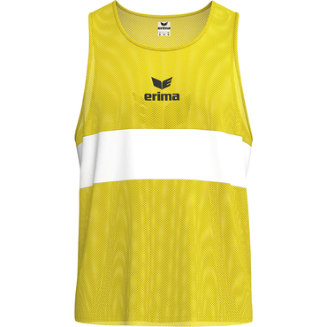 Training bib