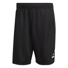 Seasonal Trainingsshort-2408399