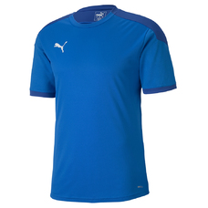 teamFINAL 21 Training Jersey-761707