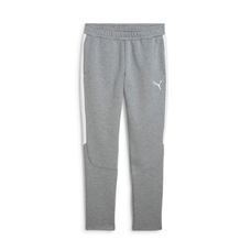 teamEVOSTRIPE Pants