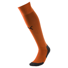 Team LIGA Socks CORE-816313