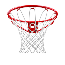 STANDARD BASKETBALL RIM-1977908