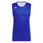 M EVRYDAY PRO JERSEY roybluwhite