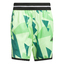 Crazylite AOP 2 Short grespablack
