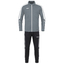Trainingsanzug Polyester Power steingrau