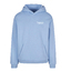 Teamwork in Motion Hoody powderblue