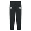 Promo Sweatpant Volleyball black