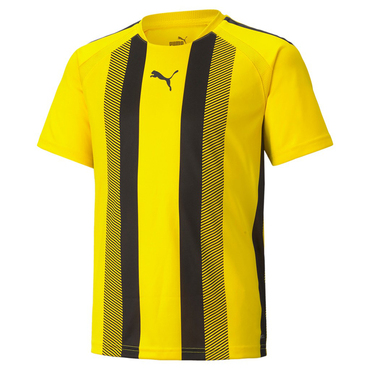 TEAMLIGA STRIPED JERSEY JR