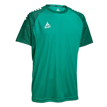 Trikot Kurzarm Spain v25