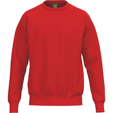 TS Sweatshirt-2434688