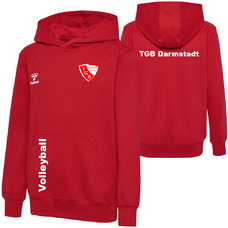 TGB Darmstadt Volleyball Go 2.0 Hoodie Kids