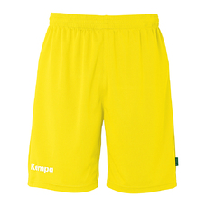 Team Shorts-2431400