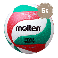Leather Soft Touch Molten 5v5m5000 Volleyball Ball Official Indoor Outdoor Game 