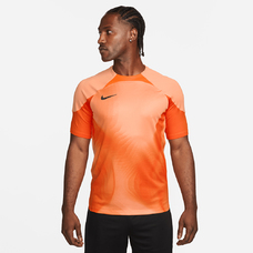 Dri-FIT Gardien 4 Goalkeeper Men's Short-Sleeve Jersey-2112811