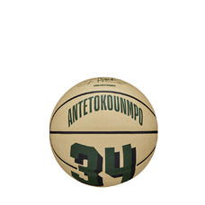 NBA PLAYER ICON MINI BSKT GIANNIS GRE-2102269